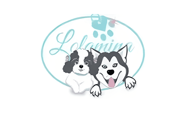 lolamine logo